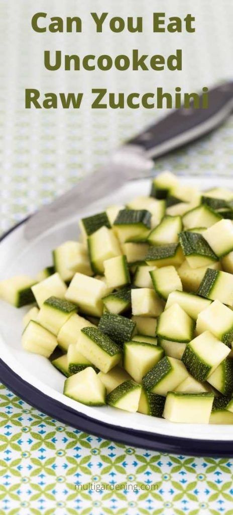 If you are wondering, can you eat uncooked raw zucchini or include them in your recipes, this article will provide you with the pros and cons. Zucchini is also known as courgette. It is a summer squash in the Cucurbitaceae plant kingdom. Zucchini can grow to more than 3.2 feet but sweeter when harvested early and immature.... Zucchini Raw Recipes, How To Eat Zucchini, Raw Zucchini Recipes, Zucchini Benefits, Canned Zucchini, Zucchini Dip, Zucchini Health Benefits, Spiced Zucchini, Raw Zucchini