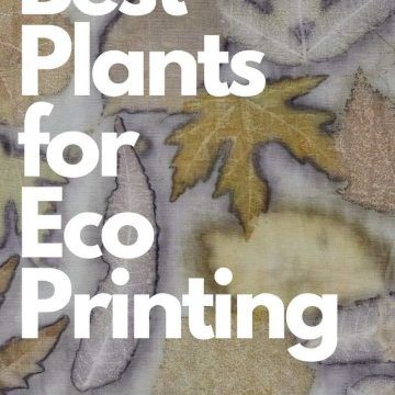 Ecoprint Paper, Eco Printing Tutorial, Eco Printing Textiles, Eco Dyeing Fabric, Leaf Dyeing, Diy Tie Dye Techniques, Fabric Dyeing Techniques, Natural Dye Fabric, Fabric Painting Techniques