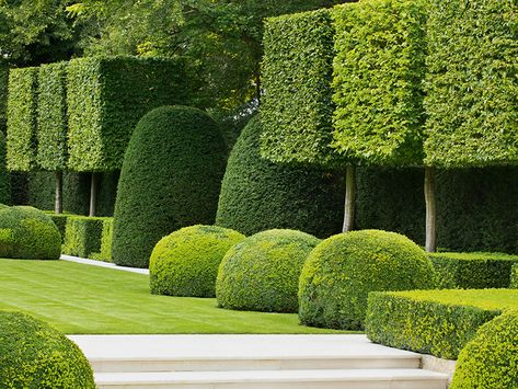 Plant Balcony, Formal Garden Design, Boxwood Garden, Urban Garden Design, Garden Hedges, Topiary Garden, Formal Garden, Classic Garden, Garden Maintenance