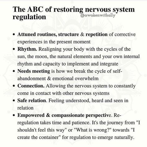 Nervous System Anatomy, Somatic Experiencing, Brain Nervous System, Nervous System Regulation, Life Transformation, Autonomic Nervous System, Vagus Nerve, The Nervous System, Here On Earth