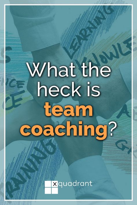 How team coaching compares with team building, one-to-one coaching, and team facilitation #Xquadrant #Blog # Leader #Leadership #Team #LeadershipTeam #LeadershipDevelopment #TeamCoaching Team Development, Team Coaching, Executive Coaching, Leadership Development, Team Building, Teamwork, A Team, Leadership, Coaching