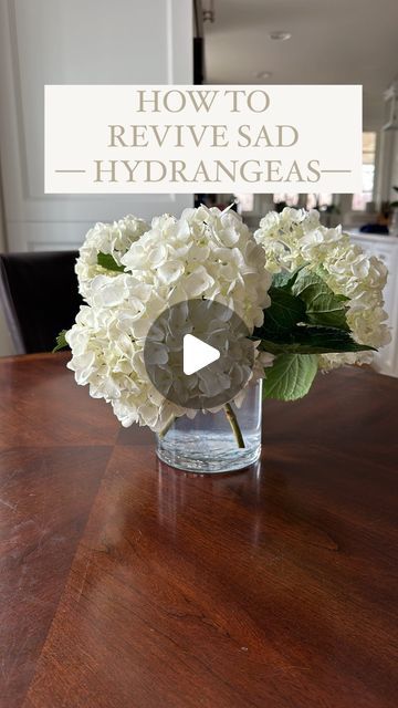 Hydrangea Care In Vase, Hydrangea Vase Arrangement, Flowerpot Designs, Flower At Home, Pressed Hydrangea, Fancy Decorations, Alum Powder, Garden Hydrangea, Front Yard Flowers