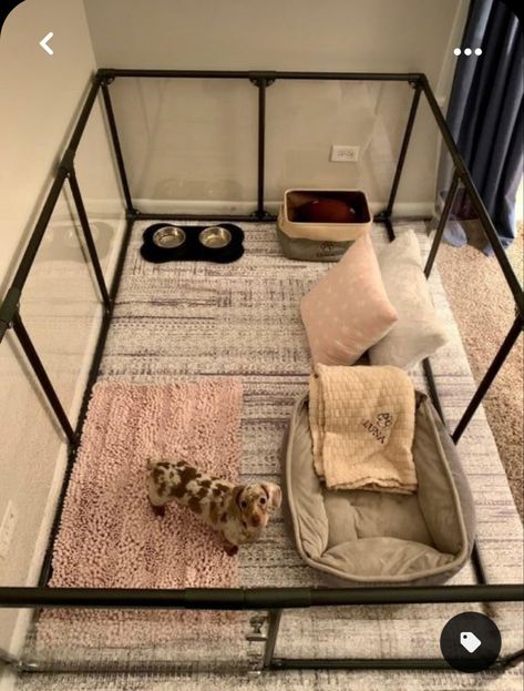 Rich Dog, Dog Room Decor, Puppy Pens, Pet Rabbit Care, Dog Bedroom, Best Names, Puppy Playpen, Puppy Room, Dog Spaces