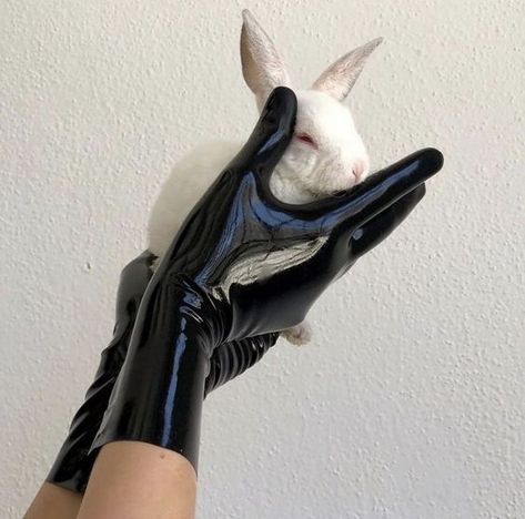 Mona Awad, Zatanna Zatara, Modern Vampires, Bunny Book, Latex Gloves, Detective Comics, White Rabbit, The Villain, Book Aesthetic