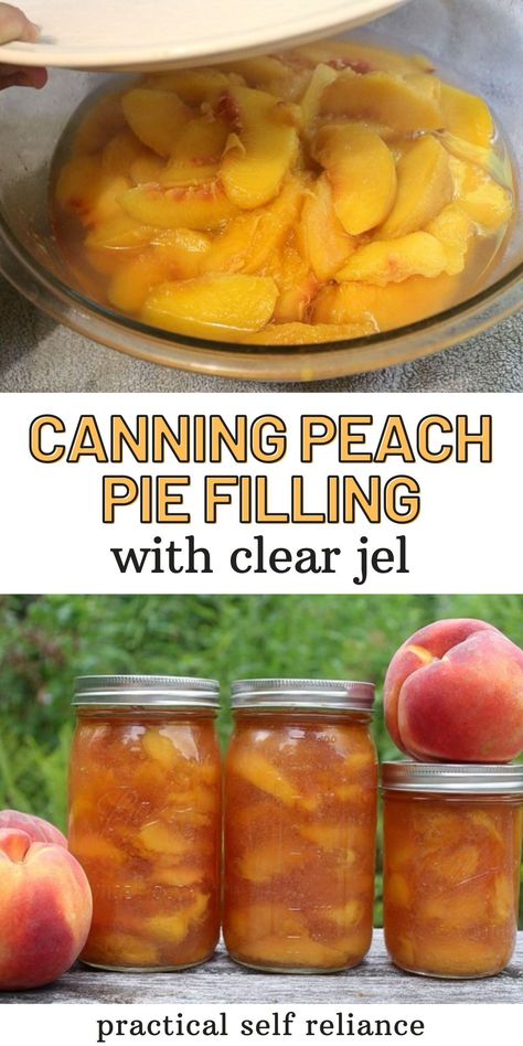 Canned Peach Pie Filling, Canned Peach Pie, Canning Peach Pie Filling, Peach Pie Filling Recipes, Canning Fruit Recipes, Canning Apple Pie Filling, Canning Apples, Fresh Peach Pie, Canning Peaches