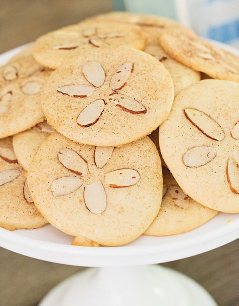 Sand Dollar Cookies, Coastal Birthday, Otter Birthday, Underwater Birthday, Octonauts Birthday Party, Candy Sushi, Octonauts Party, Turtle Birthday Parties, Ocean Theme Birthday