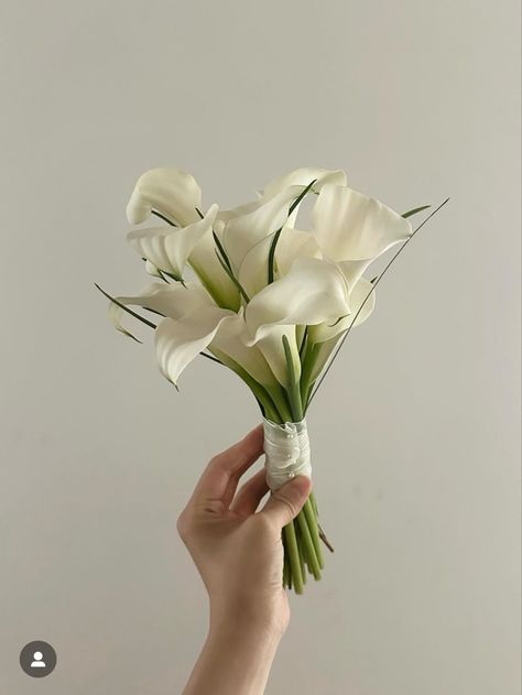 Fresh Flower Hand Bouquet Wedding, Lilly Bouquet Wedding, Calla Lily Bridesmaid Bouquet, White Calla Lily Bouquet, Bride Bouquets White, Small Bridesmaid Bouquets, Calla Lily Bridal Bouquet, Small Bridal Bouquets, Small Wedding Bouquets