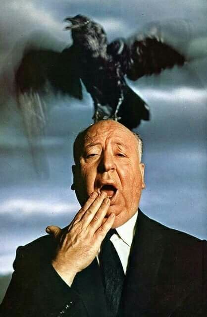 Hitchcock The Birds, Hitchcock Movies, Alfred Hitchcock The Birds, Alfred Hitchcock Movies, Movies Posters, Fritz Lang, Septième Art, Martin Scorsese, Charles Bukowski