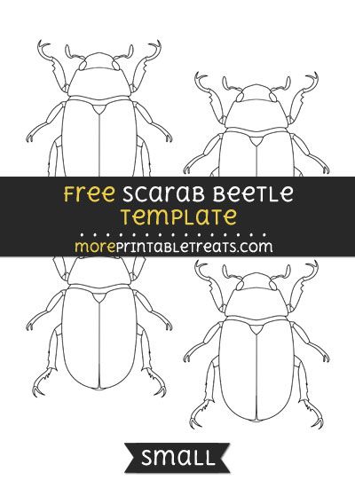 Beetle Template, Size Sorting, Beetle Art, Insects Theme, Computer Paper, Scarab Beetle, Felt Pattern, Black And White Lines, Bugs And Insects