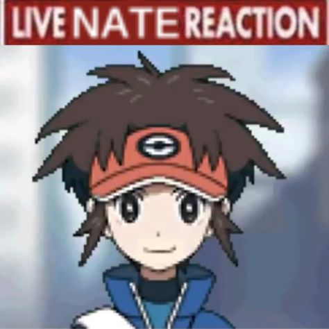 Pokemon Nate, Surprise Pokemon, Nate Pokemon, N Pokemon, My Honest Reaction, No Thoughts, Honest Reaction, Pokemon Regions, Pokemon Manga