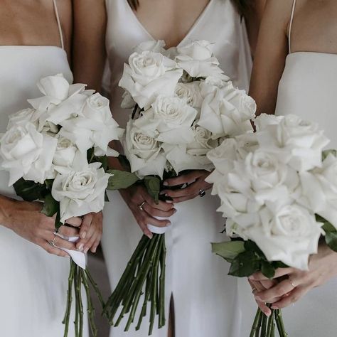 THE BRIDE LAB on Instagram: “Classic white roses 💕  Bouquets by @wildernessflowers_  #roses #bouquet #weddinginspo” Elegant Wedding Bouquets, Greenery Wedding Bouquet, White Rose Bouquet, White Roses Wedding, Summer Wedding Bouquets, 2025 Wedding, Simple Elegant Wedding, Rose Wedding Bouquet, Photos Inspo