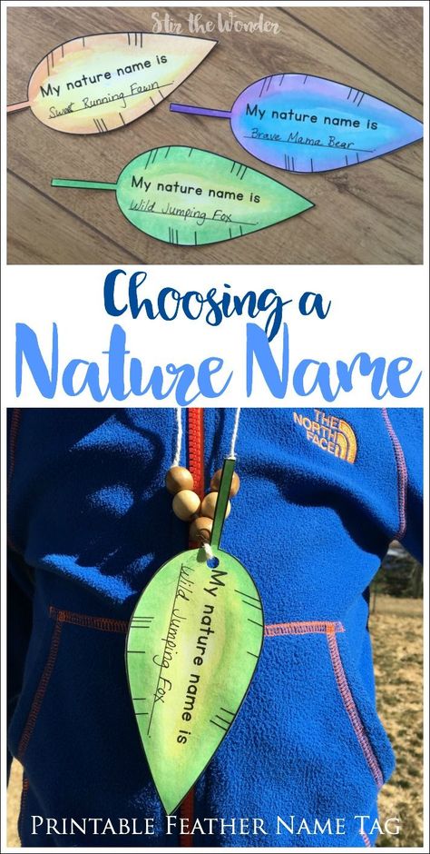 Choosing a Nature Name with a class, nature group or as a family is fun, memory building activity that will last a lifetime! Exploring Nature Activities For Preschoolers, Nature Social Emotional Activities, Nature Detectives Activities, Nature Week Activities, Nature Camp Ideas, Nature Games For Kids, Forest School Ideas, Wilderness Activities, Forest Activities