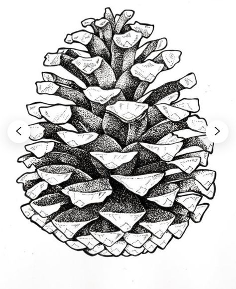 Pinecone Tattoo, Pine Cone Drawing, Elements Of Design Shape, Pine Cone Art, White Drawing, Wood Burning Art, Black And White Drawing, Ink Illustrations, Ink Pen Drawings