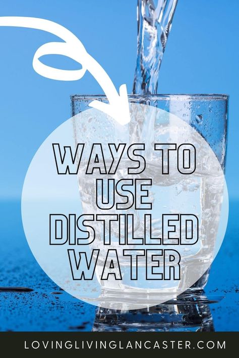 Using distilled water can have several benefits beyond just drinking. From household cleaning to personal hygiene, distilled water can play a vital role in improving your family's health and wellbeing. In this article, we'll share ten reasons why you should be using distilled water. Distilled Water Benefits, Homeschool Science Experiments, Canning Fruit, No Bake Pumpkin Cheesecake, Diy Beauty Treatments, Water Benefits, Diy Home Cleaning, Christmas Food Desserts, Water Can