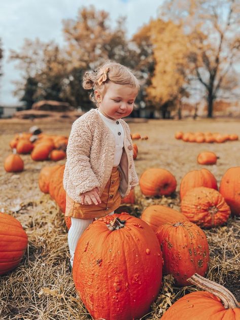 Toddler Fall Outfits, Pumpkin Patch Outfit Kids, Photoshoot Orange, Pumpkin Patch Kids, Fall Baby Pictures, White And Gold Christmas, Pumpkin Patch Photoshoot, Pumpkin Patch Pictures, Toddler Pictures