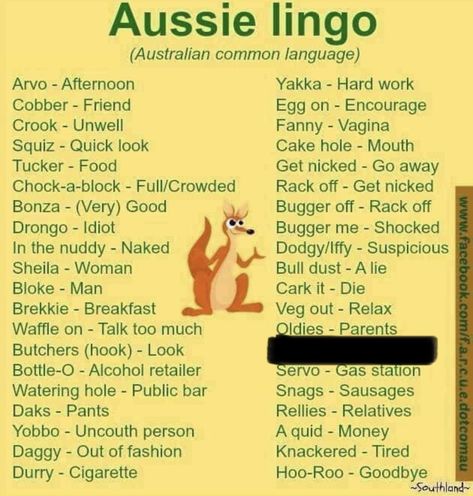 Australian Slang Words, Aussie Slang Sayings, Things Only Aussies Understand, Aussie Relatable, Australian Slang, Slang Phrases, Talk Too Much, Edinburgh, How To Introduce Yourself