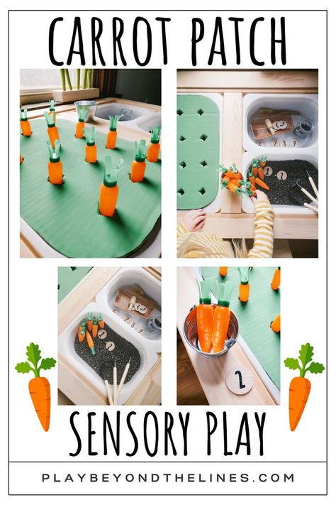 Channel all the spring vibes into this garden sensory play. Follow these steps to bring your own carrot patch sensory play to life. Easily add in literacy and math elements to create a hands-on learning experience. Toddler Easter Party, Math Elements, Garden Sensory, Easter Activities For Preschool, Toddler Sensory Bins, Carrot Patch, Kids Activity Table, Easter Preschool, Sensory Activities Toddlers