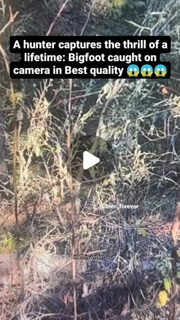 Bien_forever on Instagram: "On the final day of the hunt, one of the hunters set up his blind near an elk wallow, where he had spotted big footprints that looked like Bigfoot tracks. At 2:21 PM, he got a shocking surprise when a Bigfoot appeared just 20 feet away from him..........

What do you think about this footage 🤔🤔?...... 

Follow 👉@bien_forever 👈

No copyright infringement intended.
DM and I'll remove your video.
Thanks.

#ufo #ufosighting #creatures #viral #usa #cryptid
 #extraterrestrial #mystery #sasquatch #sky #phenomenon #ets #explorepage #alien #foryoupage  #prophecy #trending #viralreels #monsters #mexico  #angel #bigboot #mystic #paranormal #aliencivilization #spirituality #uap #area51

ufo ufosighting creatures viral usa cryptid skinwalker dogman wendigo werewolf chupa Wendigo Werewolf, Skinwalker Videos, Real Bigfoot Pictures, Sky Phenomenon, Bigfoot Footage, Bigfoot Video, Real Bigfoot, Sasquatch Funny, Bigfoot Pictures