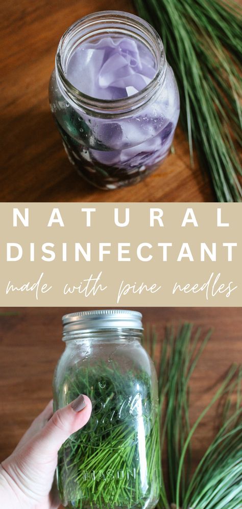 How to Make Homemade Disinfecting Cleaner (Homemade Pine Sol) - The Simple Homeplace Homemade Disinfecting Wipes, Diy Dishwasher Detergent, Amber Spray Bottle, Homemade Detergent, Pine Sol, Homemade Air Freshener, Laundry Scent Boosters, Natural Cleaning Recipes, Natural Disinfectant