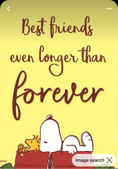 Drawing To Paint, Meaningful Signs, Peanut Characters, Peanuts Quotes, Snoopy Drawing, Special Friendship Quotes, Good Morning Snoopy, December Quotes, Woodstock Peanuts