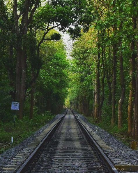 Railway Tracks Photography, Train Tracks Photography, Pretty Scenery, Perspective Photos, The Slums, Railway Line, Forest Drawing, Cliff Jumping, Railway Track