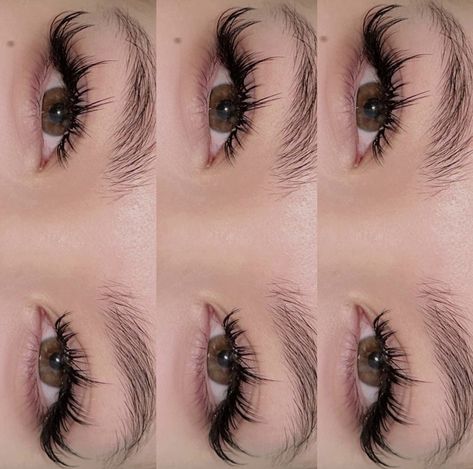 Natural Fake Eyelashes, Lashes Fake Eyelashes, Lash Extensions Makeup, Lashes Extensions, Lash Extensions Styles, Perfect Eyelashes, Doll Eye Makeup, Pretty Lashes, Natural Eyelash Extensions