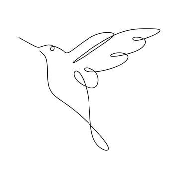 hummingbird,bird,illustration,isolated,vector,drawing,nature,fly,symbol,beautiful,wing,line,animal,logo,outline,icon,design,sketch,continuous,graphic,decoration,sign,art,wildlife,element,concept,silhouette,colibri,feather,background,white,style,contour,single,one line,banner,lines,linear,poster,tattoo,continuous line,minimalism,cute,creative,artwork,flight,fauna,hand,ink,clip,logo vector,banner vector,line vector,lines vector,bird vector,wing vector,animal vector,tattoo vector,graphic vector,fea Abstract Girl Face, Poster Tattoo, Rat Drawing, Feather Background, Illustration Bird, Logo Animal, Abstract Girl, Drawing Png, Bird Drawing