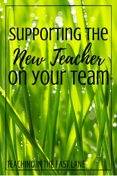 Teacher Leadership, Planning School, Team Teaching, Lead Teacher, Teacher Leader, Mentor Program, Teacher Support, Teaching Teachers, First Year Teachers