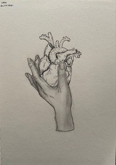 Giving Someone Your Heart Drawing, Heart In Hands Drawing, Hand Holding Anatomical Heart, Skeleton Holding Heart Tattoo, Aesthetic Heart Sketch, Hand Holding A Heart Tattoo, Hands Holding Heart Drawing, Giving Heart Drawing, Human Heart Drawing Aesthetic