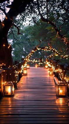 Outdoor Walkway Ideas, Landscape Backyard Ideas, Backyard Ideas Pool, Lighted Pathway, Wedding Ideas 2024, Magical Village, Amazing Wedding Ideas, Walkway Lighting, Outdoor Lighting Design