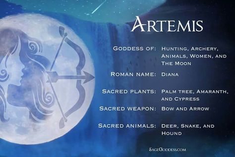 Sayings Women And The Moon, Goddess Of Hunting, Artemis Art, Hunter Of Artemis, Artemis Goddess, Apollo And Artemis, Goddess Names, Goddess Symbols, Roman Names