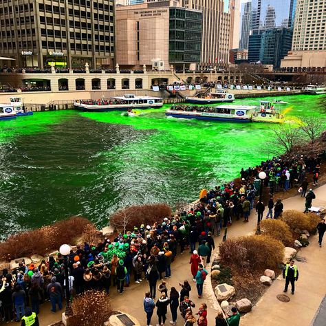 Chicago Green River, Celebrate St Patricks Day, Chicago Spring, Day In Chicago, Chicago Tours, Midwest Travel, Michigan Avenue, Chicago River, Chicago Photos