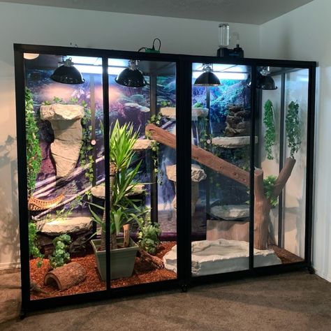 Our Hybrid enclosures are customizable for the needs of every reptile Indoor Animal Enclosures, Reticulated Python Enclosure, Snake Enclosure Ideas Diy, Diy Snake Enclosure, Reptile Tank Stand, Crested Gecko Habitat, Reptile Tanks, Snake House, Snake Cages