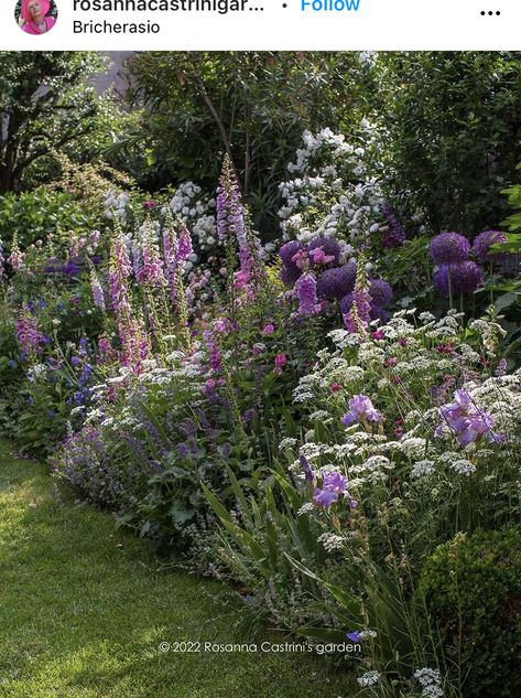 Pretty Garden Borders, Country Garden Borders, Mixed Border Design, New Build Cottage Garden, Pollinator Border, Mixed Borders Gardens, Flower Border Garden, Cottage Garden Design Layout, Garden Border Design