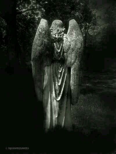 Angel From Behind, Cemetery Angels, Creepy Photos, Dark Images, Cemetery Art, Angels Among Us, Angel Statues, Dark Photography, Angel Art