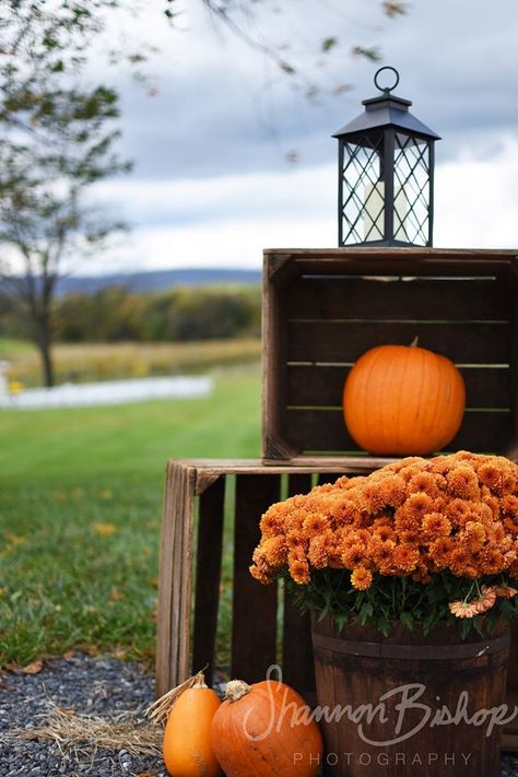 Outdoor set up - old crates, wood planters, pumpkins, lanterns and mums. Photo credit: Shannon Bishop Photography, Westminster, MD. Autumn Front Steps Decor, Small Porch Pumpkin Decor, Outdoor Autumn Decor, Pumpkin Arrangements Front Porches, Fall Benches Decor Outdoor, Small Front Porch Fall Decor Ideas, Fall Patio Decor, Easy Diy Fall Decor, Autumn Porch