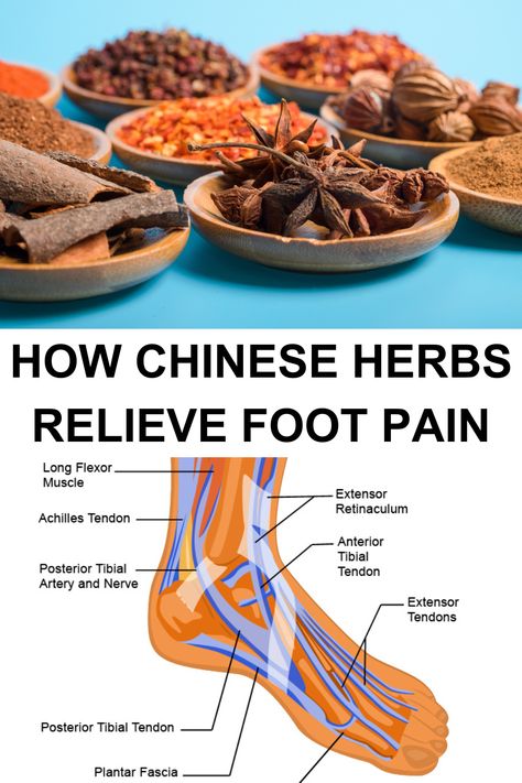 Chinese herbs are known to have medicinal properties that treat foot pain by strongly stimulating circulation and blood flow to damaged tissues and promoting the healing of overstretched tendons and ligaments, providing foot pain relief. Learn more at BattlefieldPainRelief.com Qi Energy, Reduce Bruising, Ligaments And Tendons, Reduce Swelling, Foot Pain Relief, Chinese Herbs, Cold Prevention, Scar Tissue, Muscle Tissue