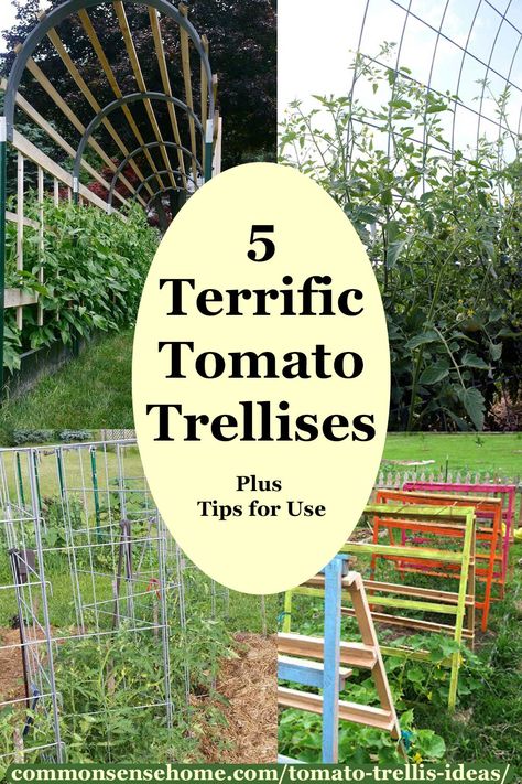 5+ Terrific Tomato Trellis Ideas for Easy Harvesting Tomato Trellis Ideas, Diy Tomato Trellis, String Trellis, Wooden Garden Trellis, Pallet Trellis, Cattle Panel Trellis, Tomato Stakes, Tomato Trellis, Plant Cages