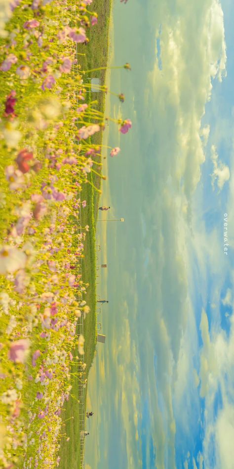 Whats Wallpaper, Flowers Photography Wallpaper, Desktop Wallpaper Art, Pretty Landscapes, Photography Wallpaper, Pretty Wallpapers Backgrounds, Alam Yang Indah, Landscape Wallpaper, Beautiful Place