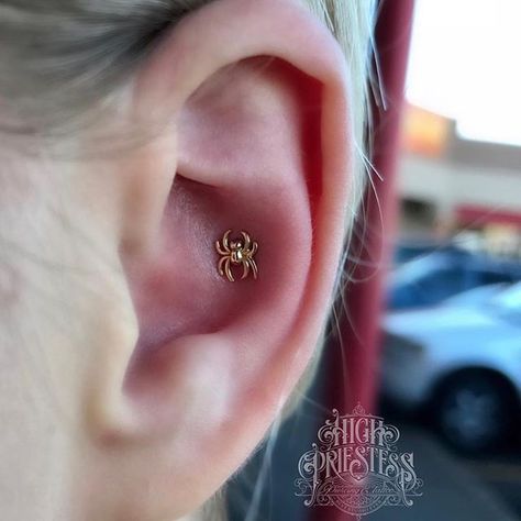 Getting into the Halloween spirit with this gold spider threaded end from @leroifinejewelry Jewelry inserted by jay at @highpriestesssalem  #beststudioever Conch Piercing, Halloween Spirit, Conch, Spirit Halloween, Instagram Feed, Piercings, Diamond Earrings, Jay, Thread