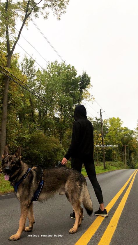 Walking German Shepherd Aesthetic, German Shepherd And Owner Photography, German Shepherd Aesthetic, Shiloh Shepherd Dog, Shiloh Shepherd, German Sheperd Dogs, Dog Tumblr, Big Dog Breeds, Animals Friendship