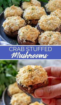 In just 20 minutes, you’ll have these tender crab stuffed mushrooms, oozing with melted cheese and zesty crabmeat. via @familyfresh Seafood Stuffed Mushrooms, Super Easy Appetizers, Stuffed Mushrooms Easy, Crab Stuffed Mushrooms, Mushroom Appetizers, Cheese Stuffed Mushrooms, Crab Meat Recipes, Creamy Crab, Crab Stuffed