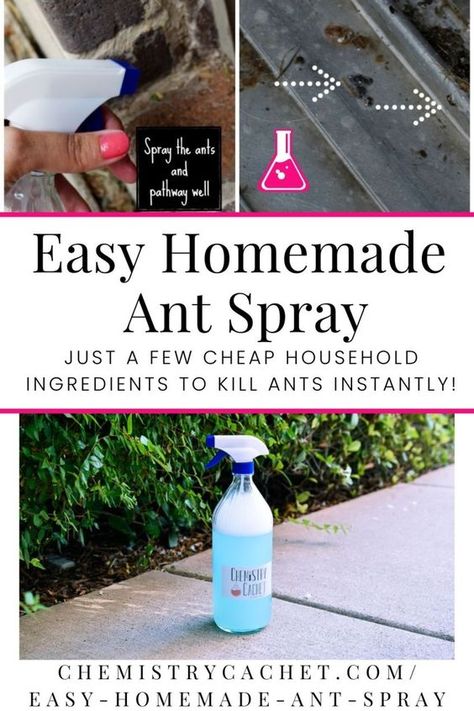 Any Spray Diy, Diy Any Killer Indoor, Ant Spray Diy Homemade Essential Oils, Diy Ant Spray Outdoor, Anti Ant Spray, Ant Spray Diy Homemade How To Get Rid, Any Killer Diy, Natural Ant Killer For Home, Pet Safe Ant Killer Indoor