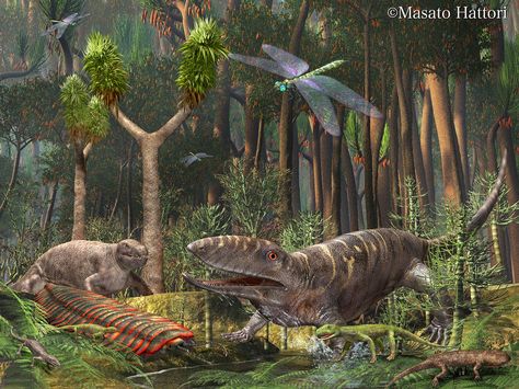 Carboniferous period Carboniferous Period, Prehistoric Period, Rocks And Fossils, Dinosaur Pictures, Prehistoric World, Jurassic World Dinosaurs, Ancient Animals, Prehistoric Art, Paleo Art