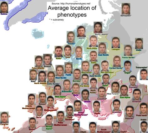 Human Phenotypes Mapped - Vivid Maps Face Anatomy, Geography Map, Baltic States, World Geography, Physical Features, Olive Skin, Cultural Identity, Europe Map, Melting Pot