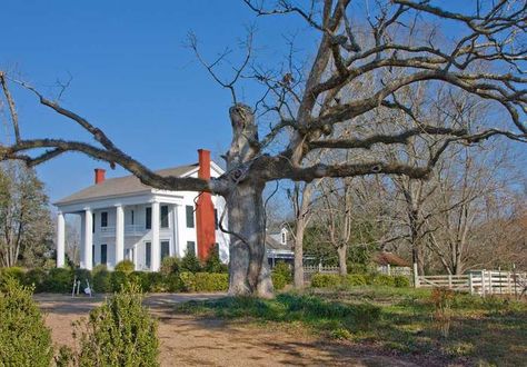 Alabama Architecture, Carpenter House, Old Southern Homes, Neoclassical Home, Alabama History, Southern Beauty, Antebellum South, Southern Mansions, Southern Architecture