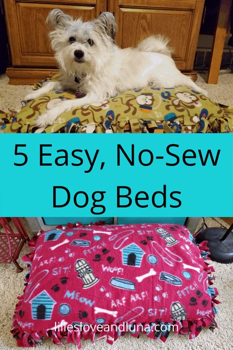 Diy Puppy Bed Homemade, No Sew Pet Bed, Diy Dog Bed No Sew, Puppy Beds Diy, Dog Beds Diy Easy, Homemade Dog Beds For Small Dogs, Diy Puppy Bed, Dog Beds Diy, No Sew Dog Bed