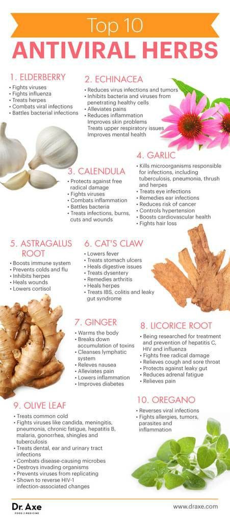 Dr. Axe list of Antiviral Herbs Antiviral Herbs, Cooking With Turmeric, Natural Healing Remedies, Diy Remedies, Herbs For Health, Natural Therapy, Improve Mental Health, Healing Herbs, Natural Herbs