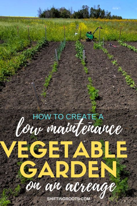 How to Create a Low Maintenance Vegetable Garden on an Acreage or Homestead | Shifting Roots Large Garden Plans, Large Vegetable Garden Ideas, Acreage Garden Ideas, Large Vegetable Garden Design, Large Garden Design Layout, Large Garden Layout, Large Vegetable Garden Layout, Acreage Gardens, Acreage Landscaping Ideas Country Life