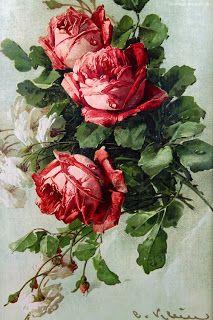 Catherine Klein, Roses Print, Flowers Illustration, Rose Art, Rose Painting, Arte Floral, Flower Illustration, Floral Vintage, Vintage Roses